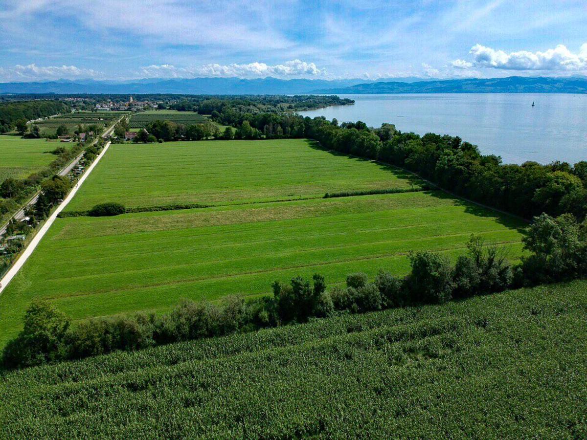 Ferien-Apartment Eisvogel Im Naturschutzgebiet Mit Privatstrand Friedrichshafen Luaran gambar