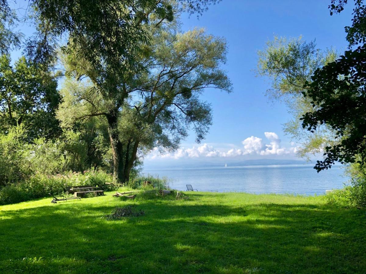 Ferien-Apartment Eisvogel Im Naturschutzgebiet Mit Privatstrand Friedrichshafen Luaran gambar