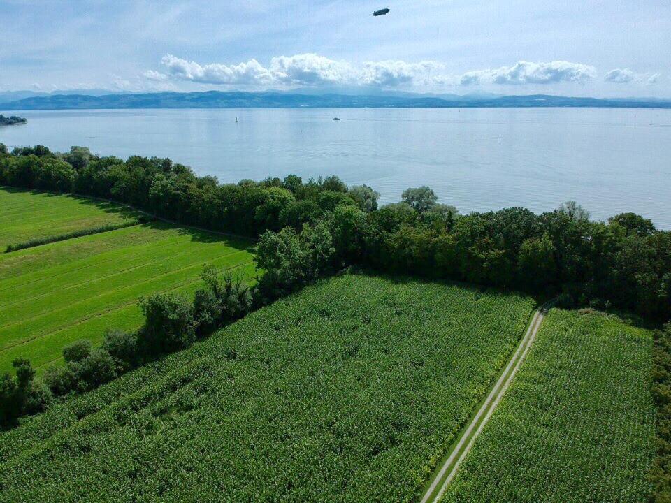 Ferien-Apartment Eisvogel Im Naturschutzgebiet Mit Privatstrand Friedrichshafen Luaran gambar