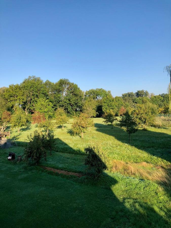 Ferien-Apartment Eisvogel Im Naturschutzgebiet Mit Privatstrand Friedrichshafen Luaran gambar